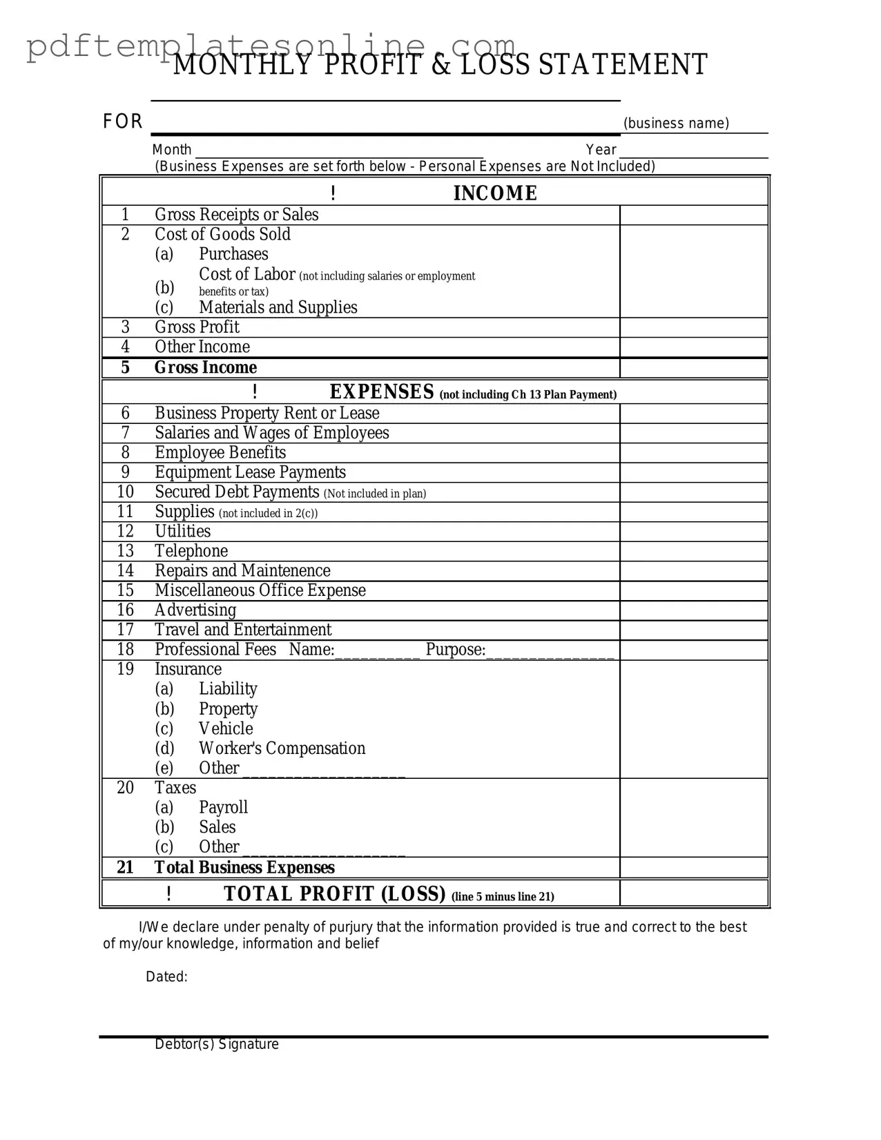 Blank Profit And Loss Form