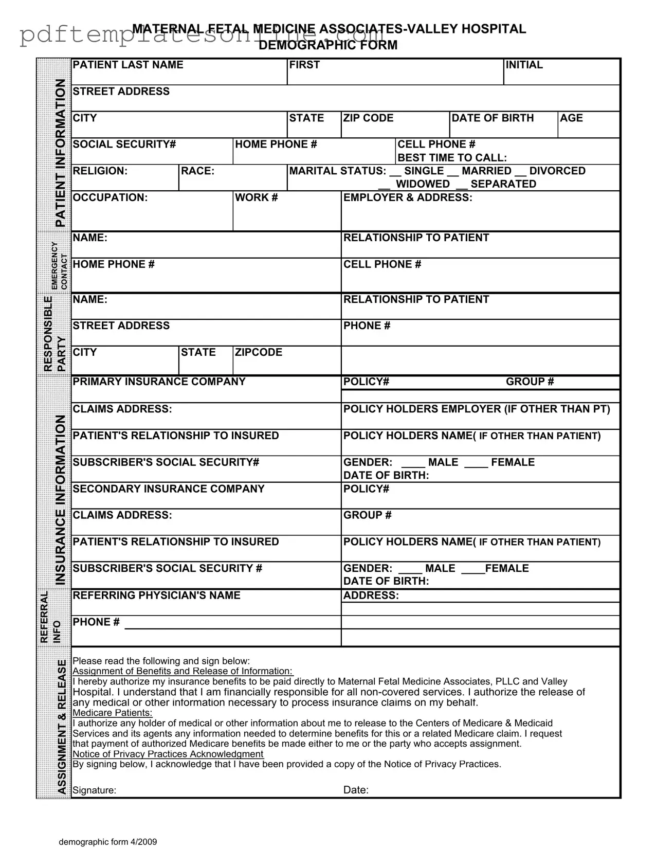 Blank Patient Demographics Form