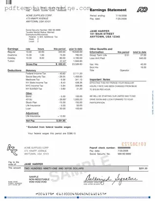 Blank Adp Pay Stub Form