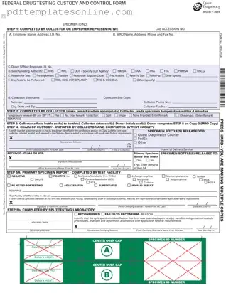 Blank Drug Screen Form