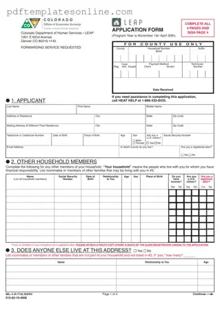 Blank Leap application IML-4 Form