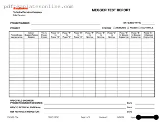 Blank Megger Test Form