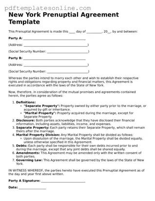 Official New York Prenuptial Agreement Document