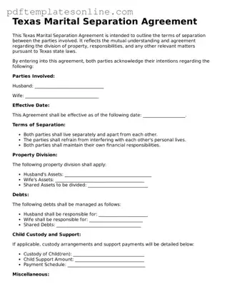 Official Texas Marital Separation Agreement Document