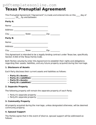Official Texas Prenuptial Agreement Document