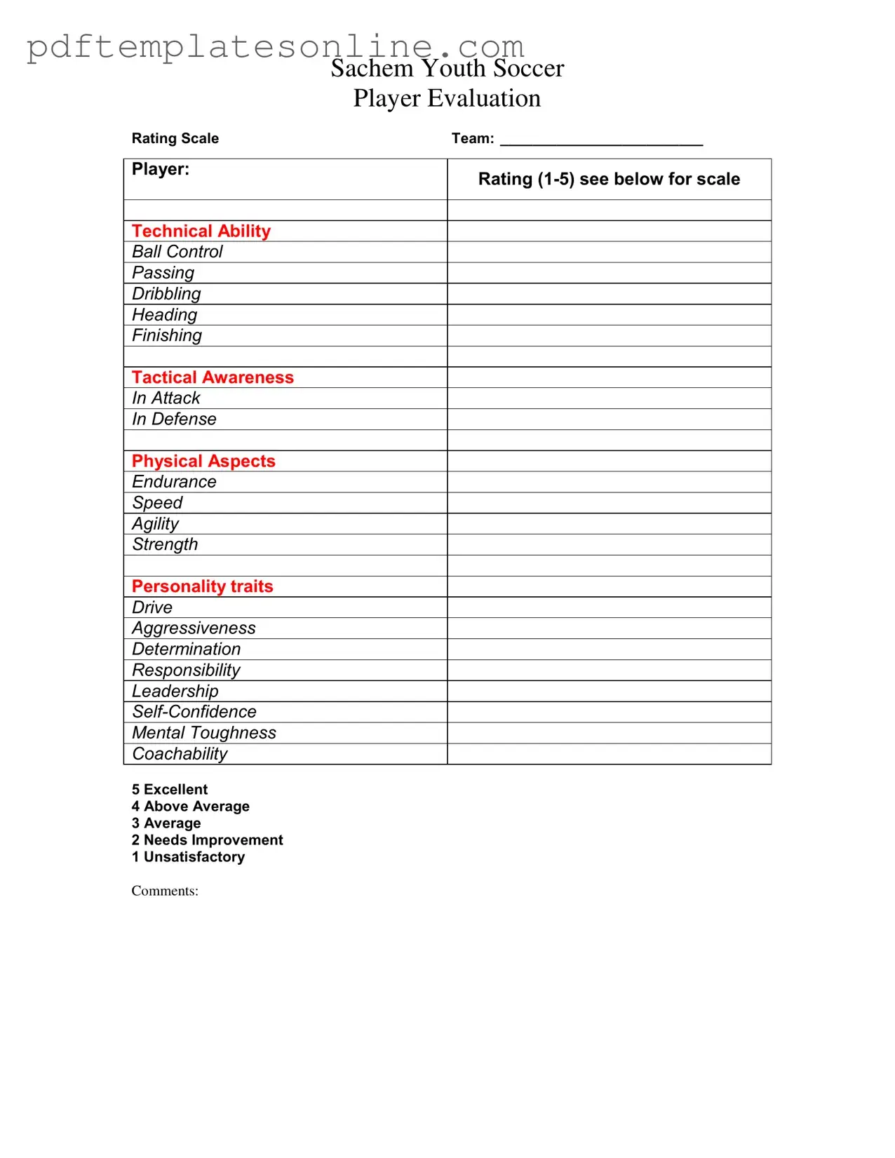 Blank Soccer Player Evaluation Form